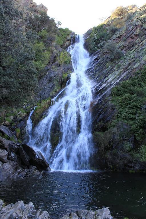 El Puente