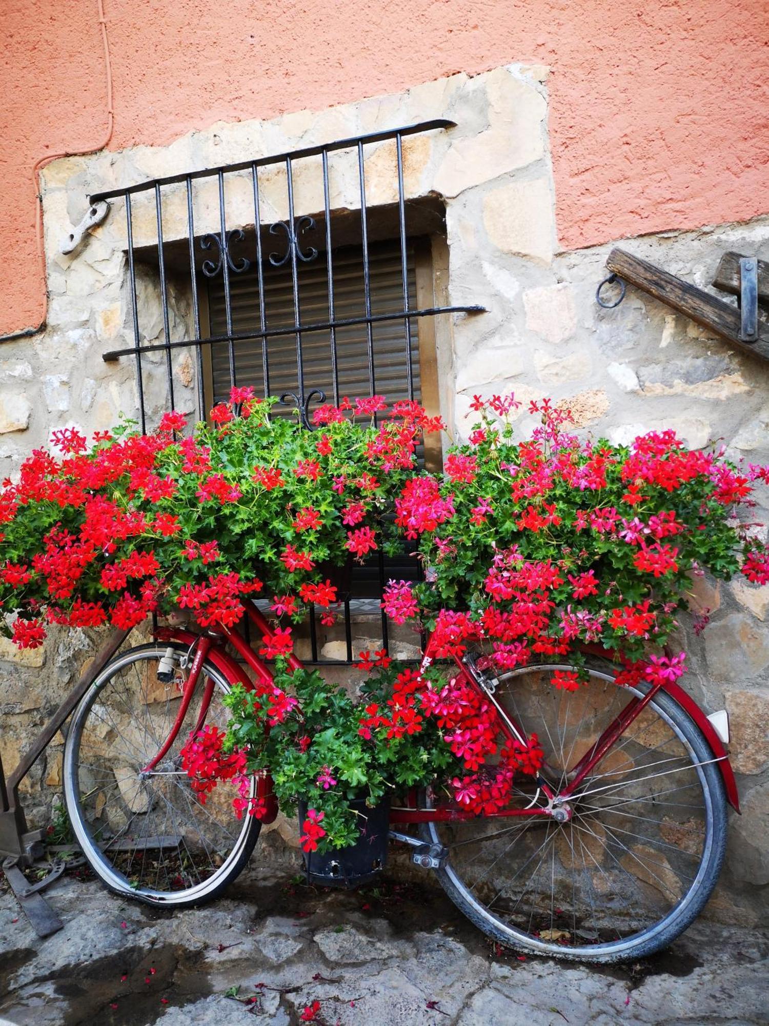 Country house Masadas