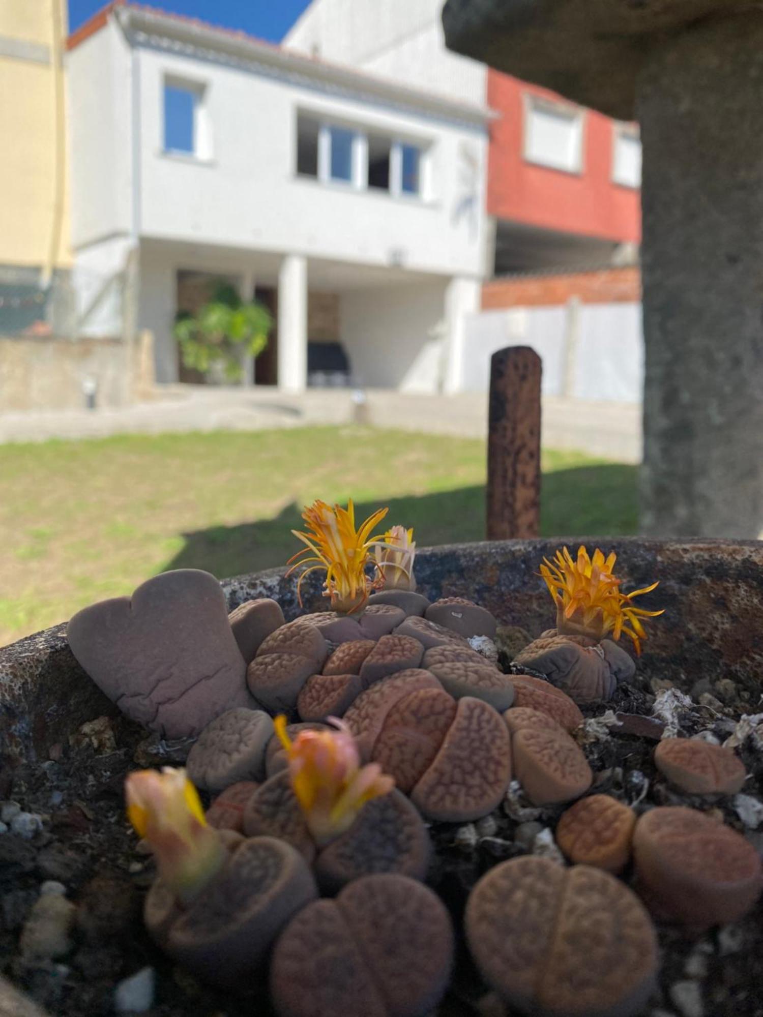 Casa Do Campo Lestrove *