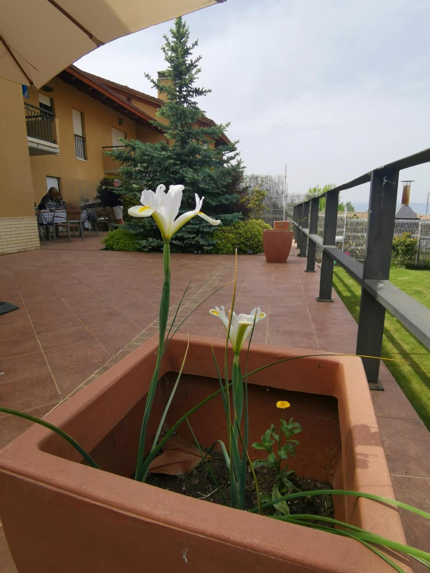 Con Jardin Entre Golf Y Monte - Cerca Logrono Holiday home *