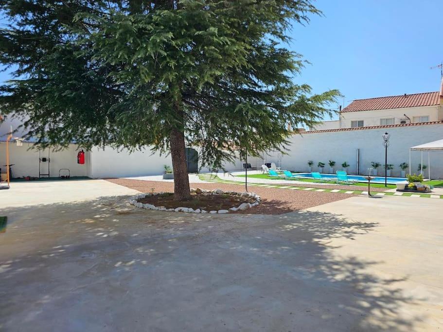 La Casa Del Arbol Villa