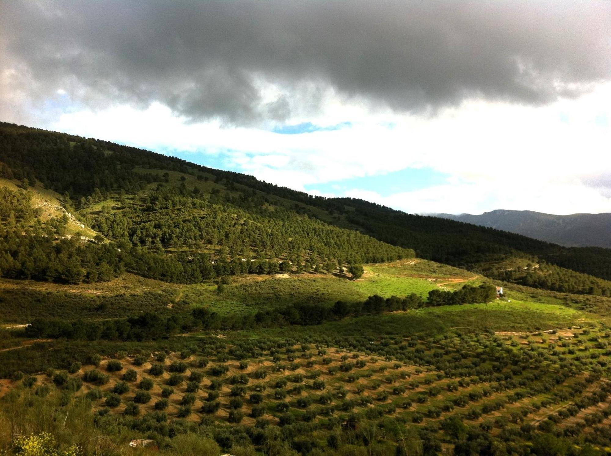 Casa Dehesa San Cristobal, Holiday home