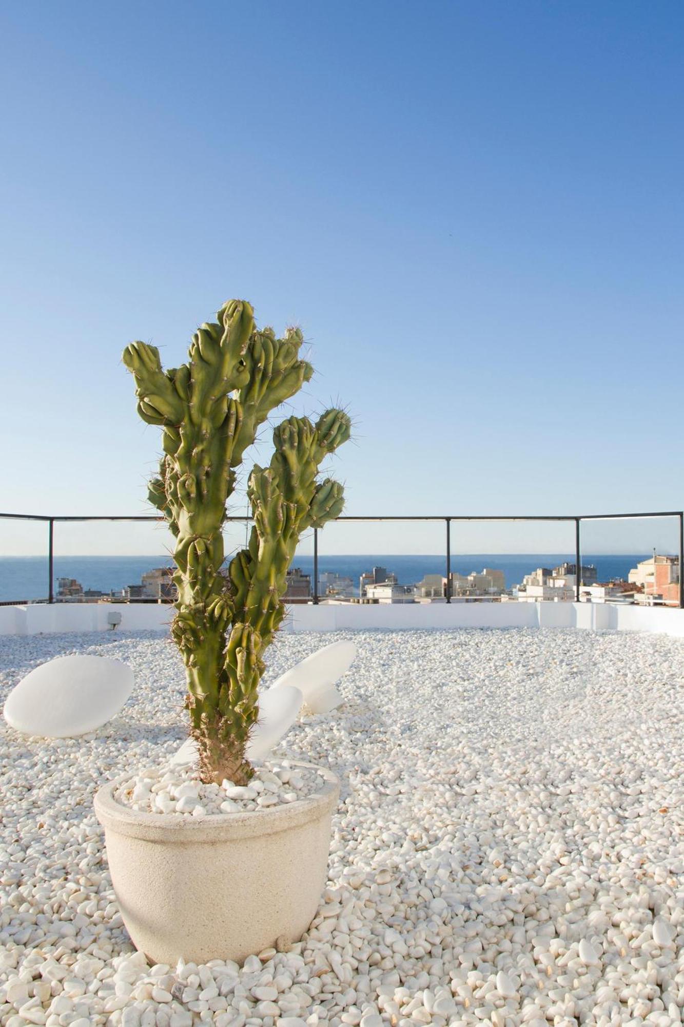 Hotel Alegria Plaza Paris 4*sup Lloret de Mar