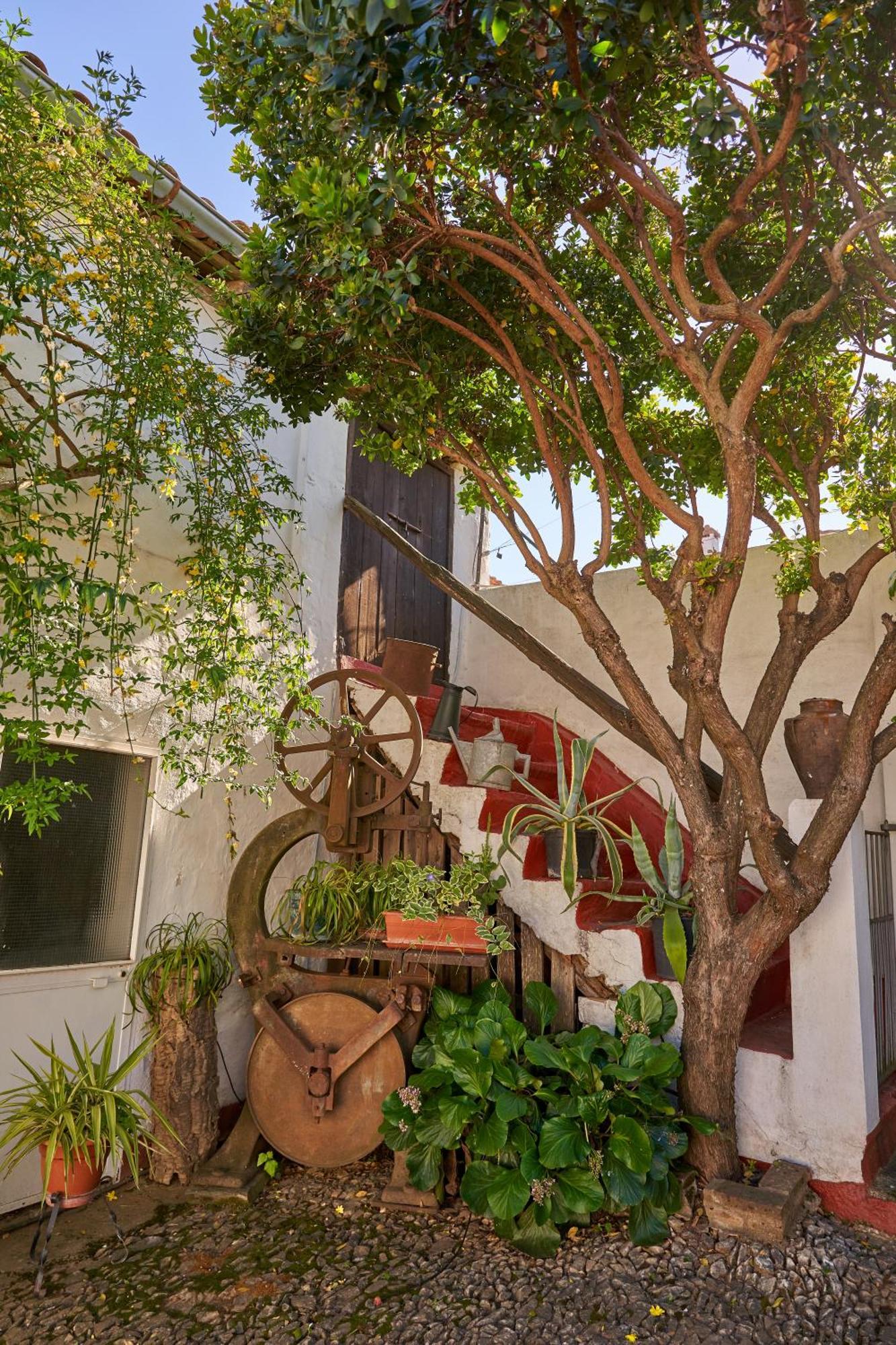 Tragaluz I Holiday home