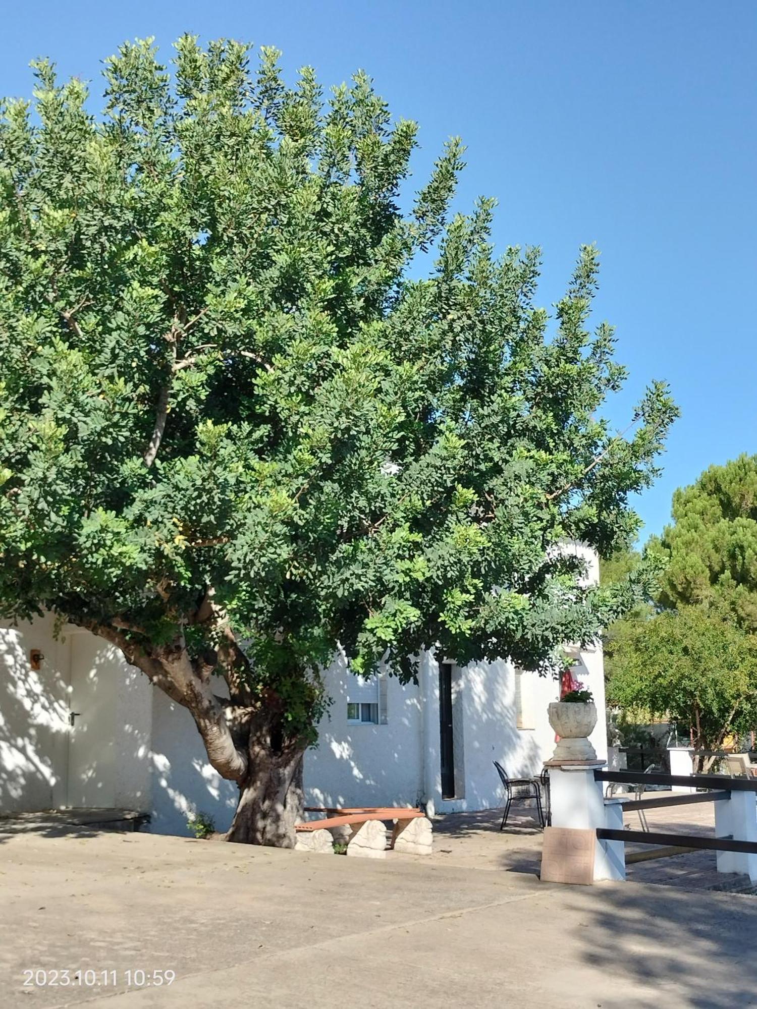 Bed & Breakfast Casa Mas Montanas *