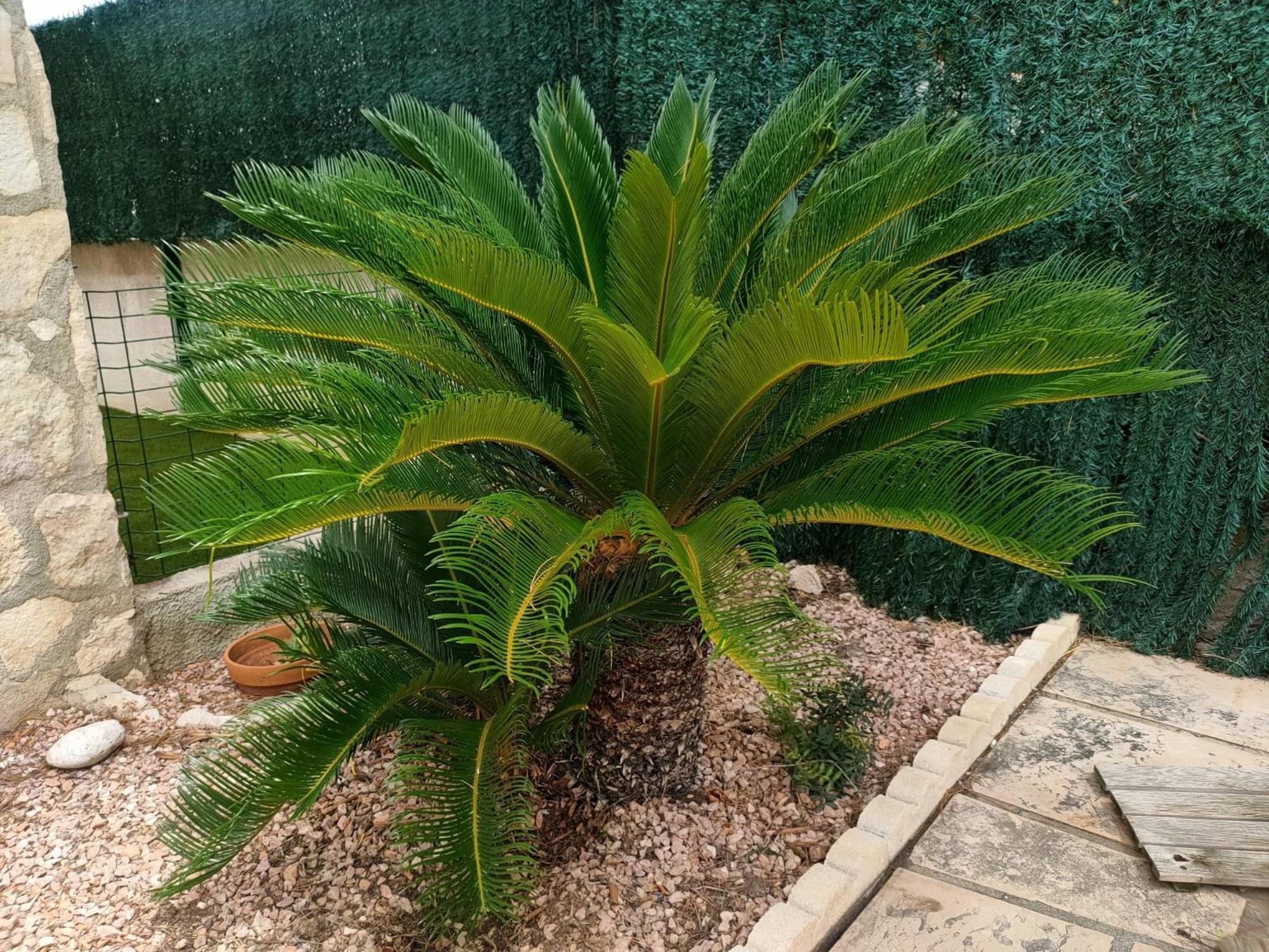 Сasa de vacaciones Casa Coco