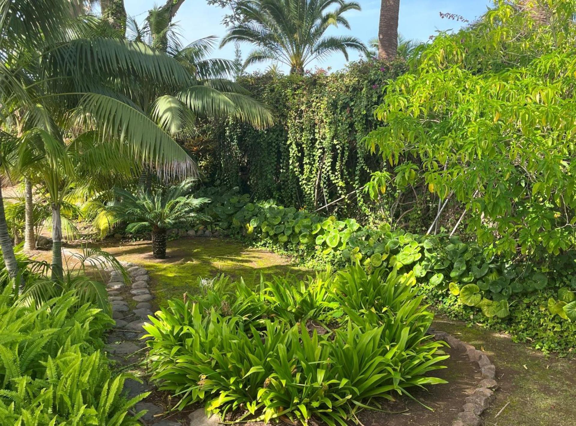 Apartment La Gomera