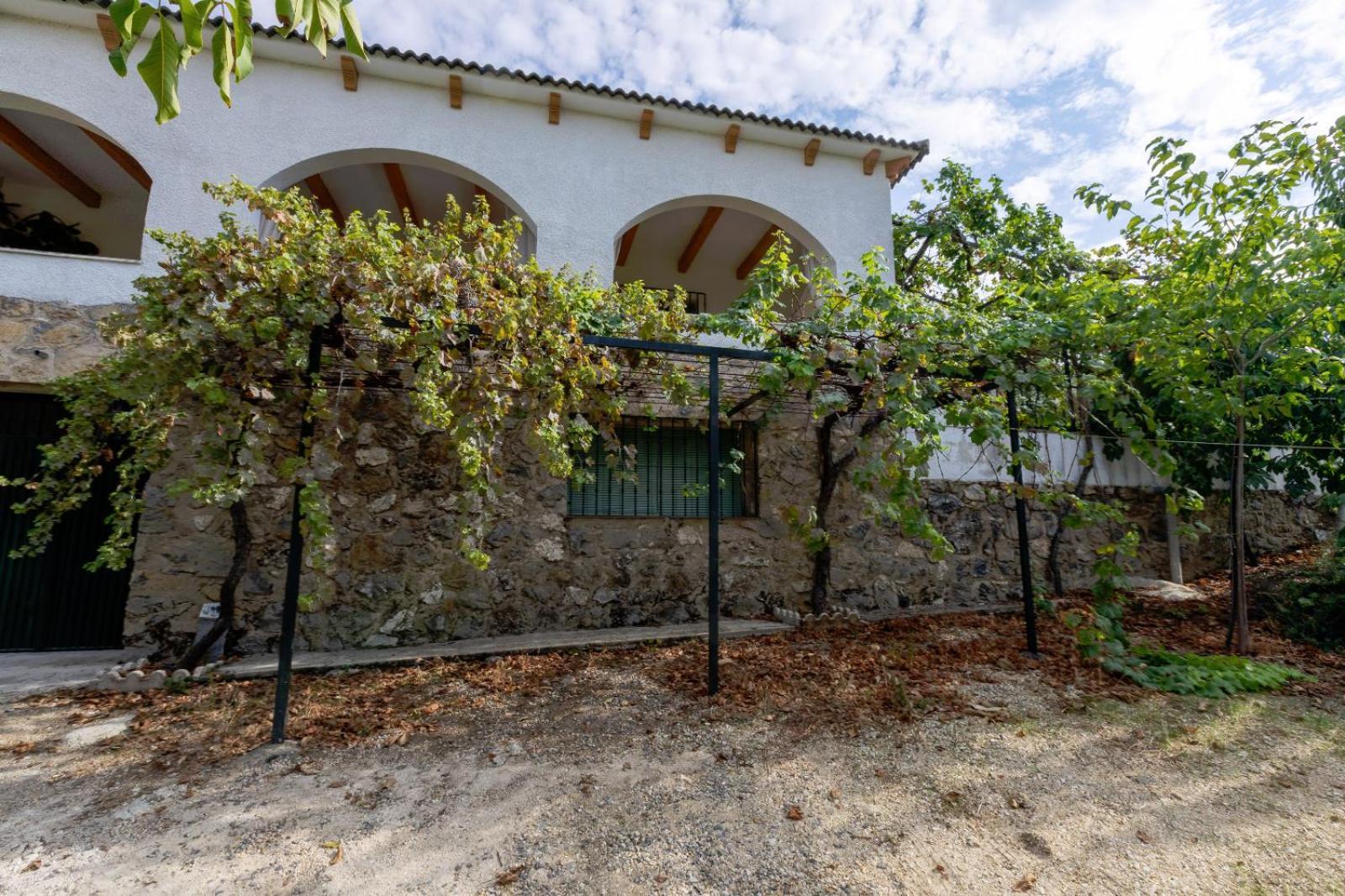 Casa Jurinea Alzar