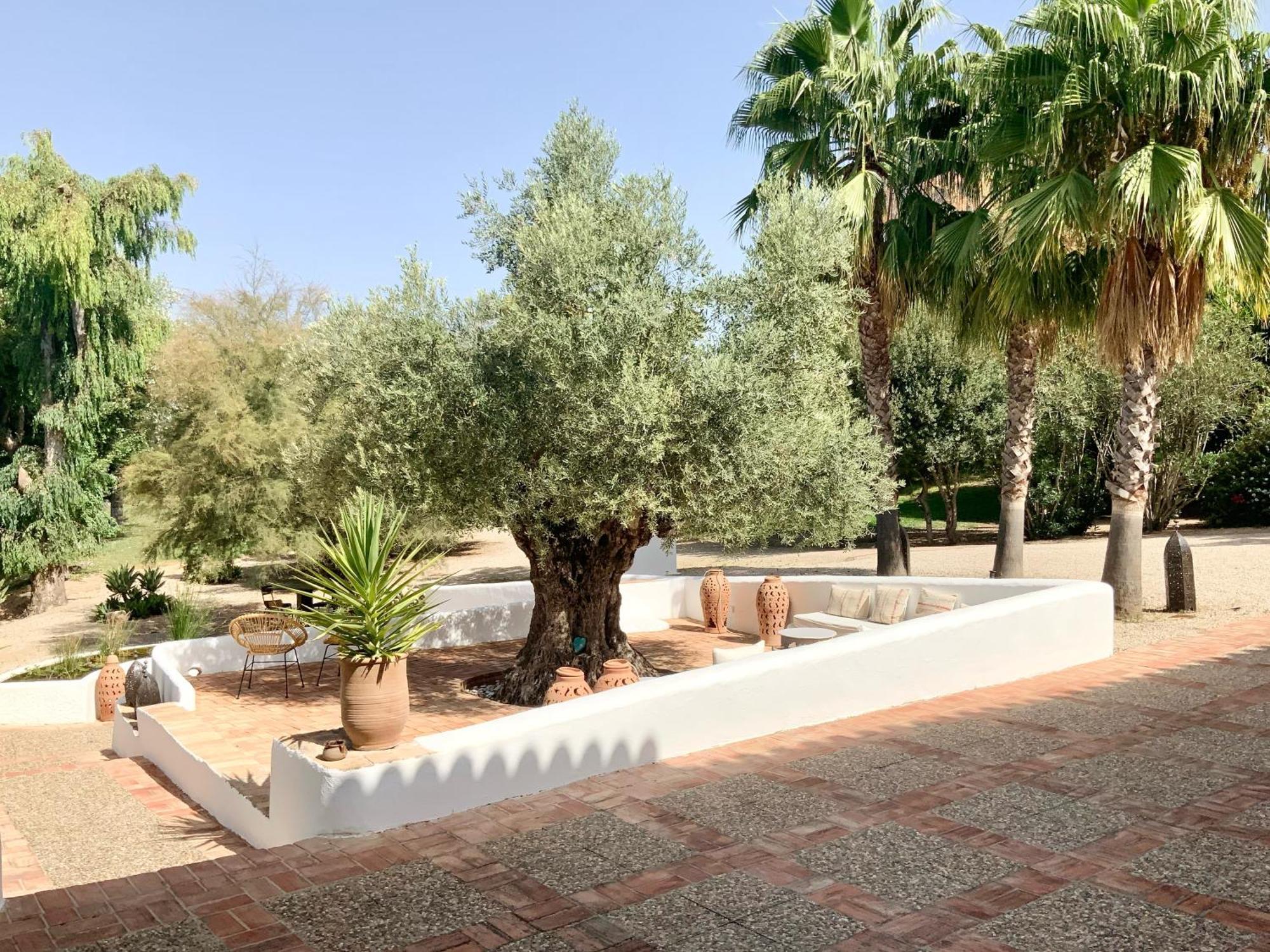 Cortijo Bablou - Maison De (adults Only) Arcos de la Frontera