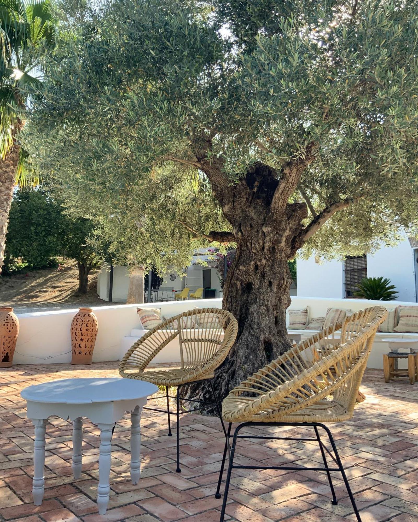 Cortijo Bablou - Maison De (adults Only) Сasa de vacaciones
