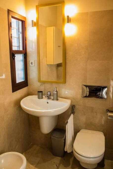 Casa Con Piscina Junto A Catedral *