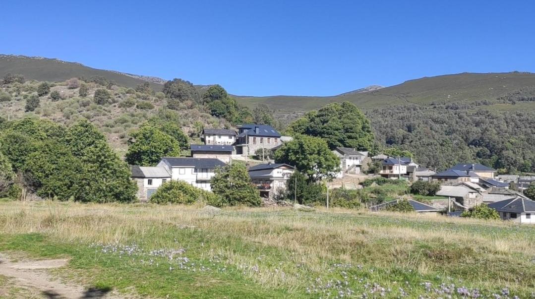 Pajarica * San Ciprián