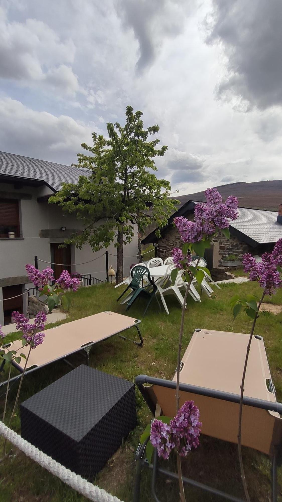 Casa rural Pajarica