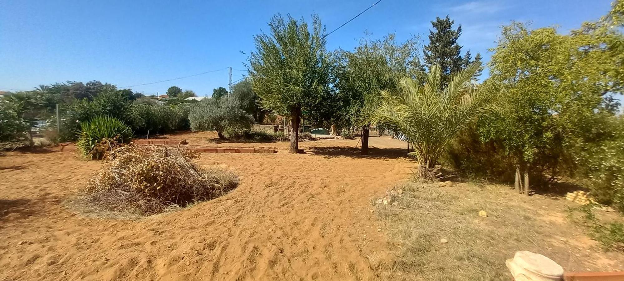 Holiday home Huerta El Genoves Carmona (Seville)