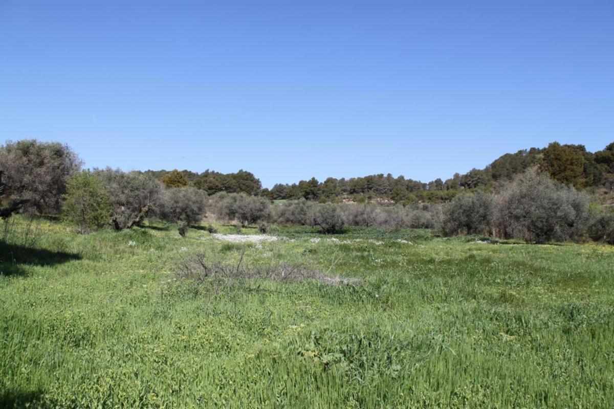 Mas Guillo Holiday home