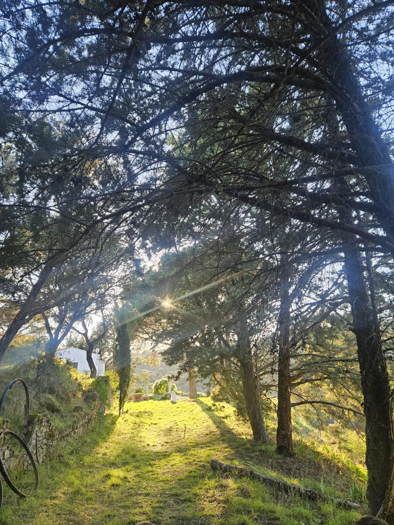 Camino De Hierro I Y Ii