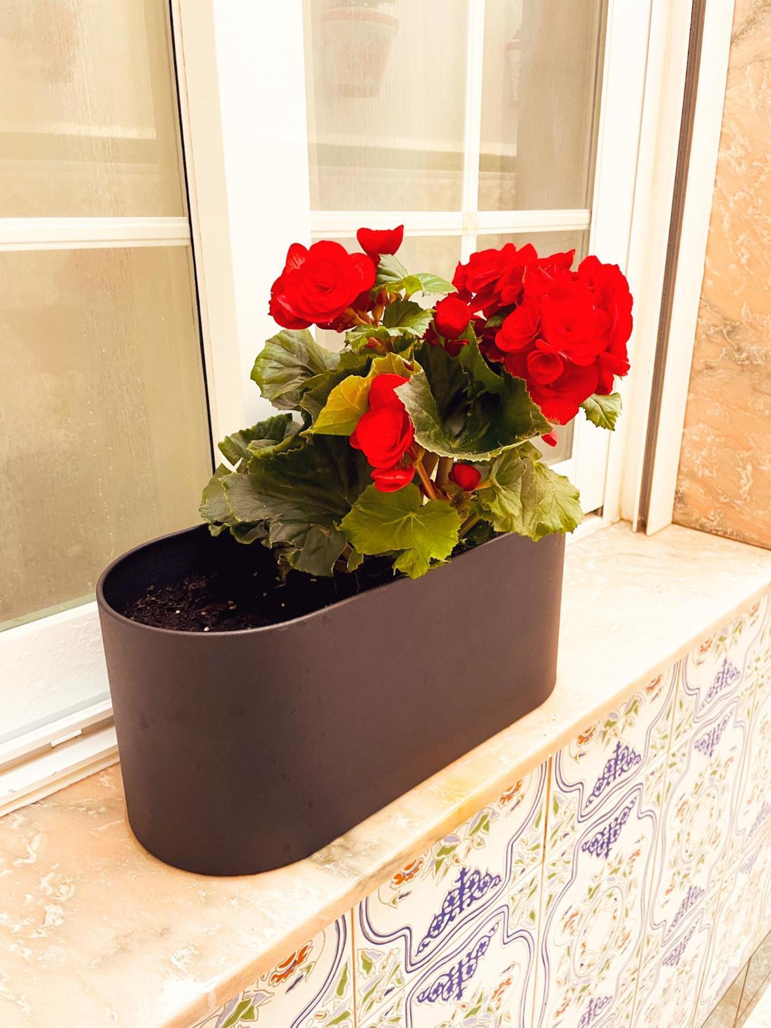 Apartamento Casa Junto Al Mar *