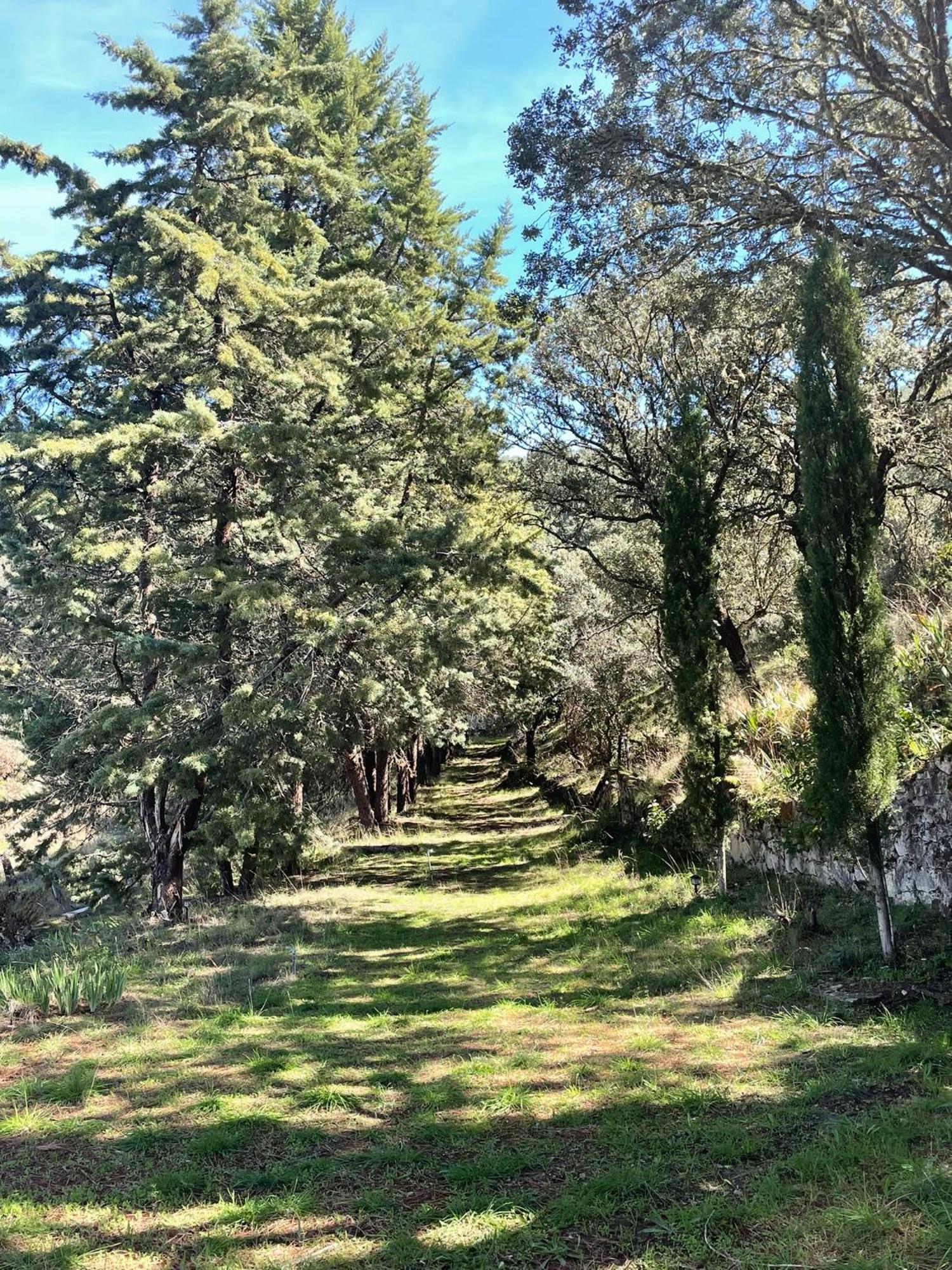 Camino De Hierro I Y Ii