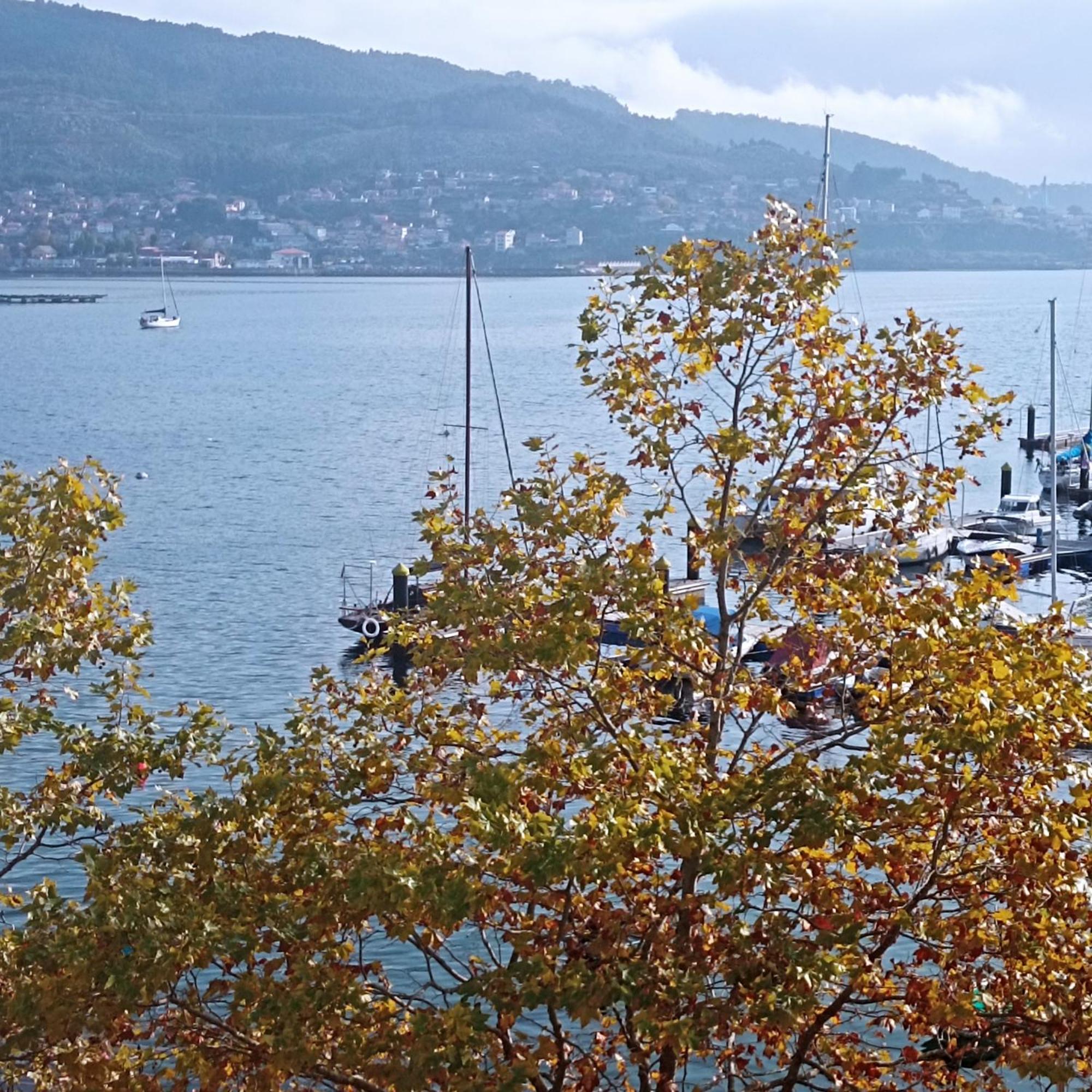 Apartment Mar Avilla Espectacular Ria De Vigo Con Parking Playa Moana