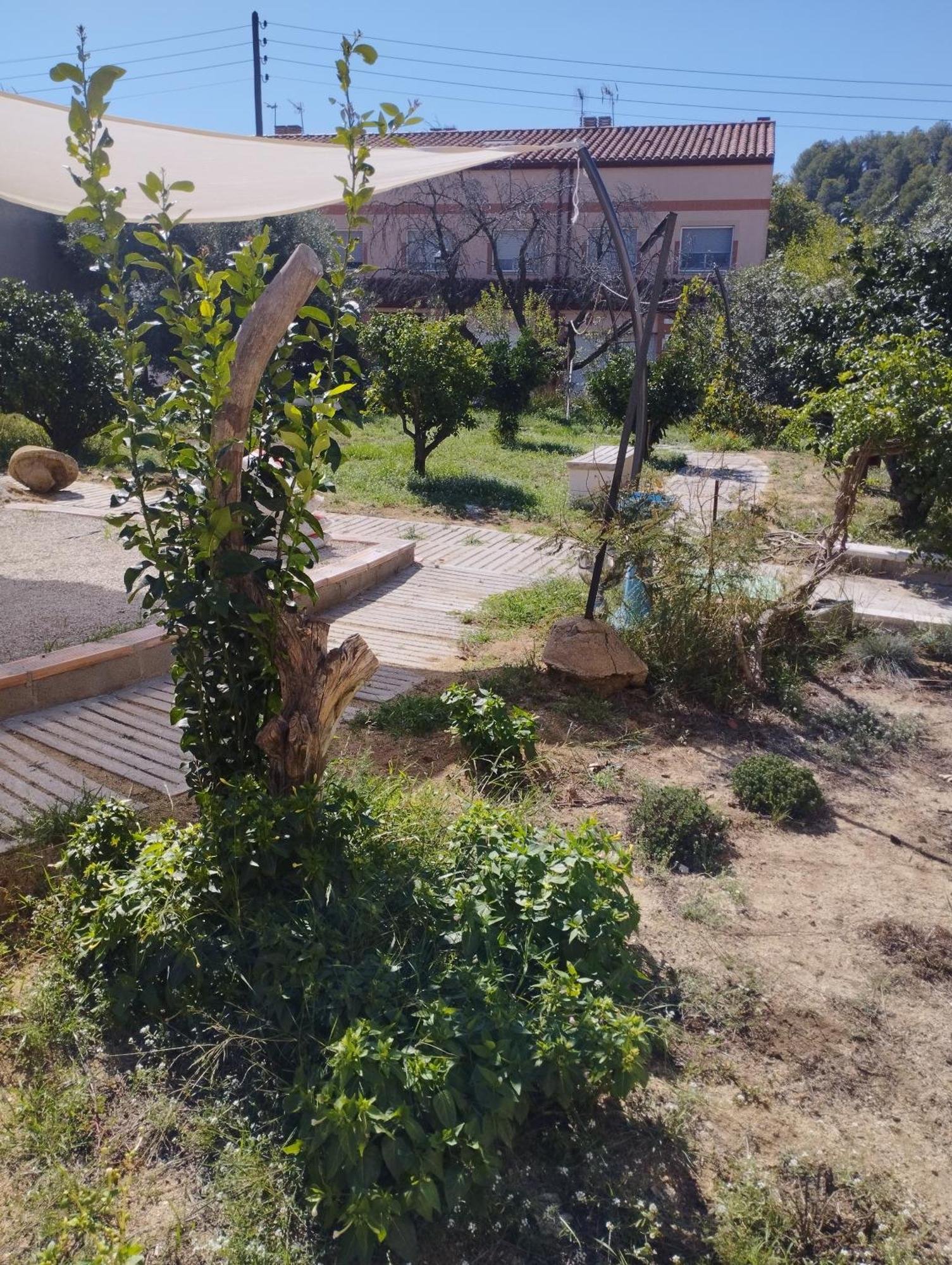 Apartamento La Fabriqueta *
