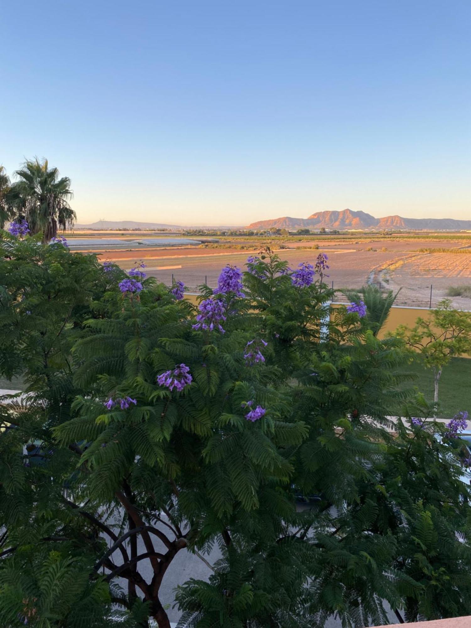 Sol Dorado - Mar Menor Golf *