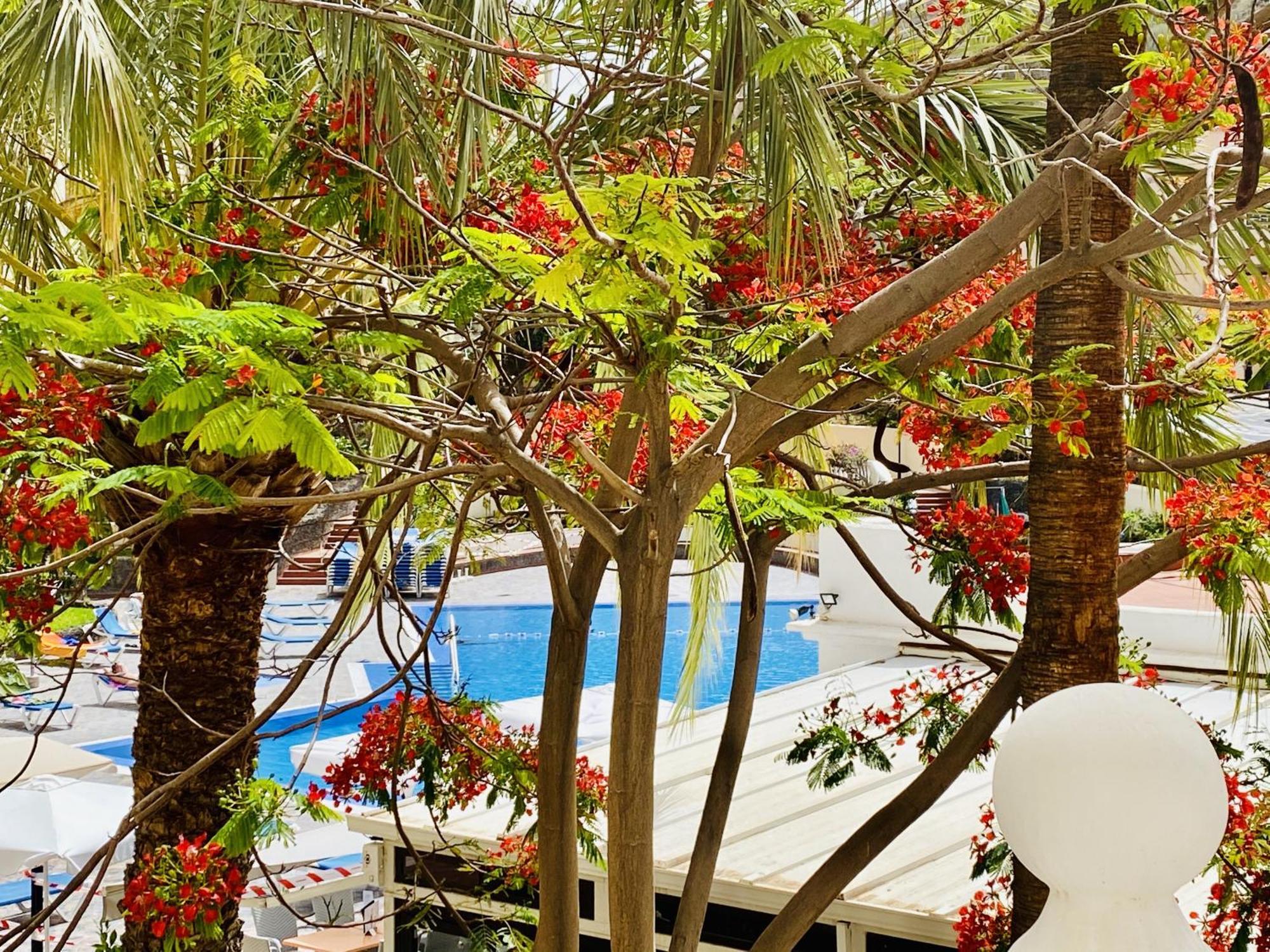 Castle Harbour Melanie's By Lovetenerife Apartamento Los Cristianos (Tenerife)