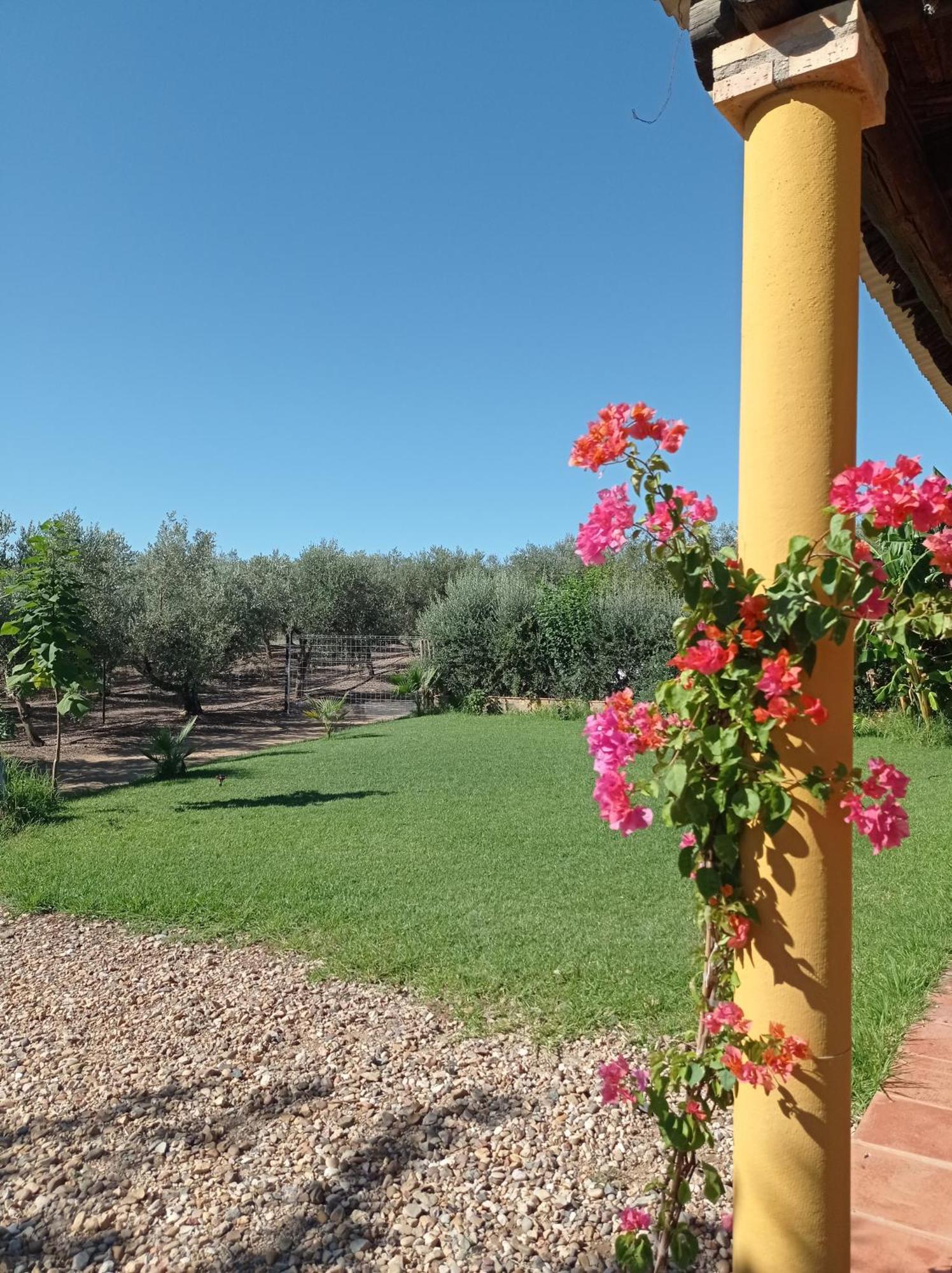 La Buganvilla, Descanso Entre Olivares Hornachuelos