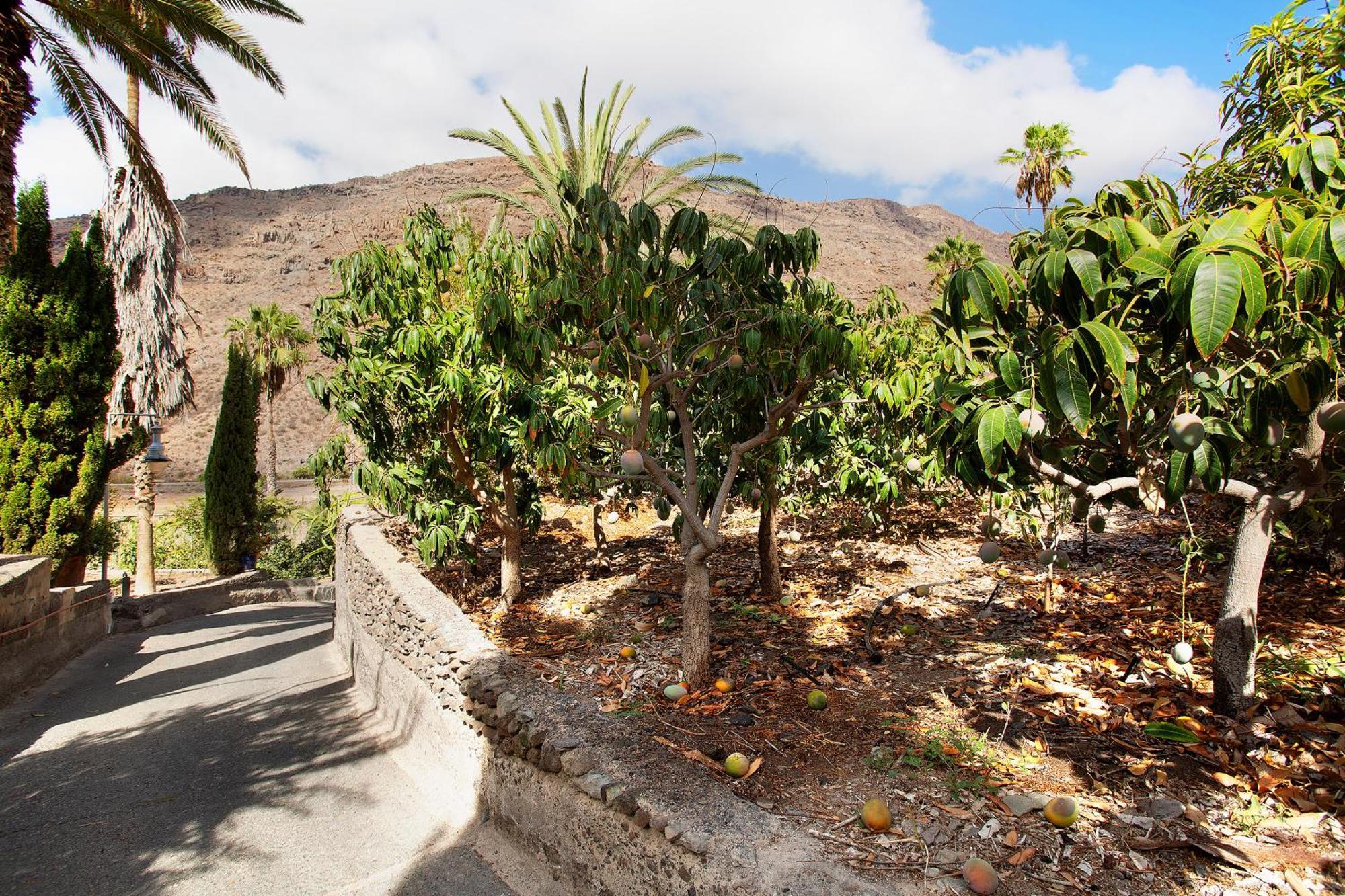 Casa Paraiso Del Molinero Holiday home *