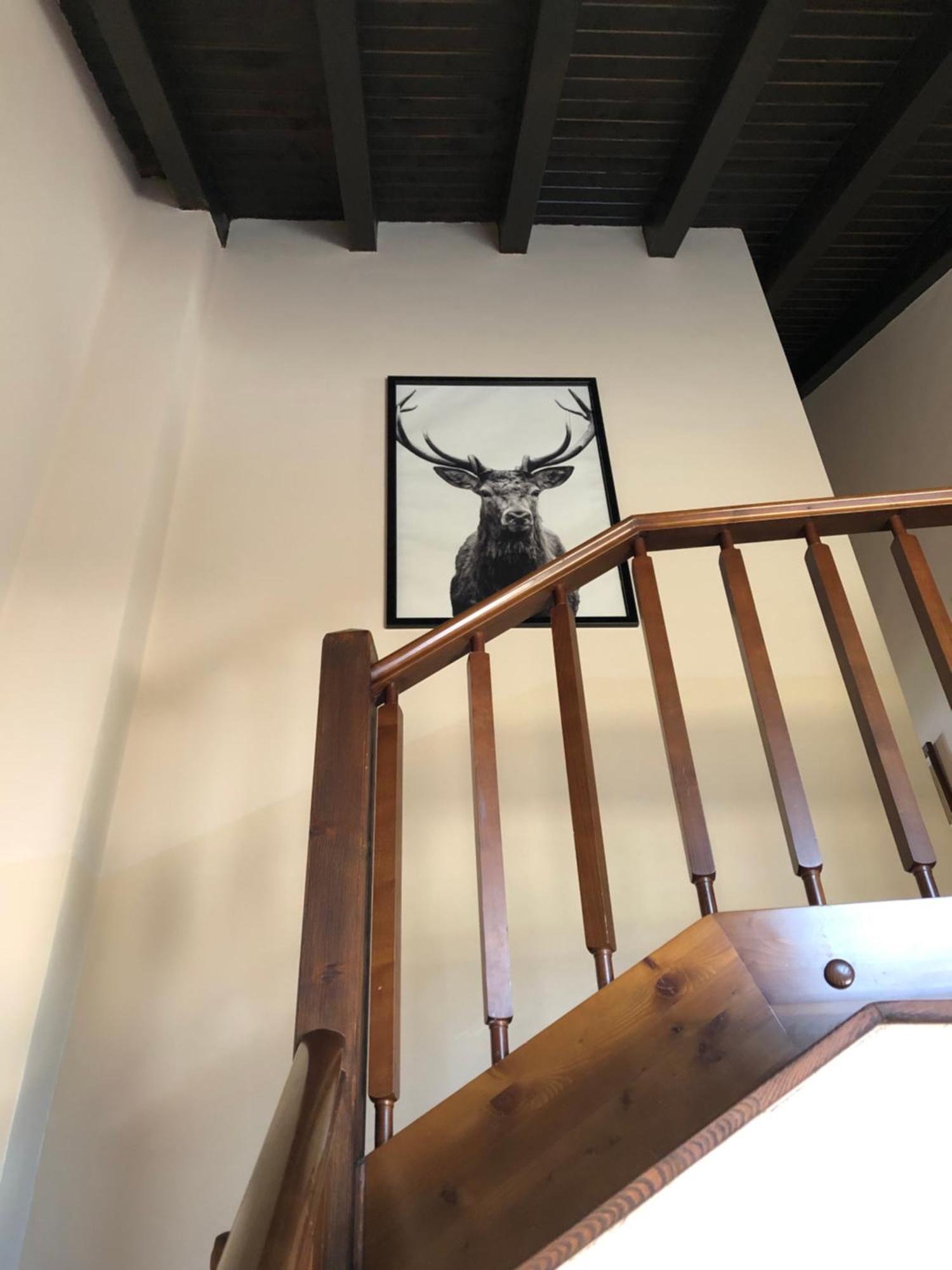 Holiday home Mollo, Vall De Camprodon