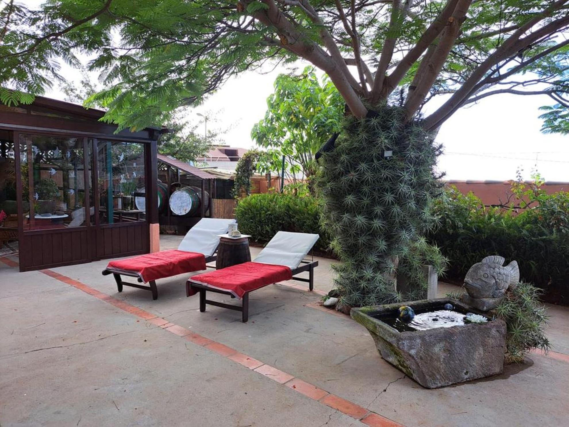Holiday home Cebollino