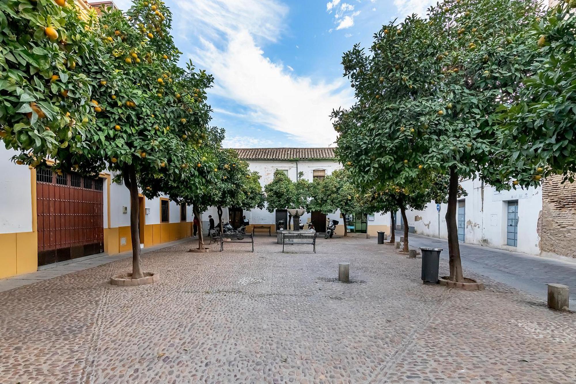 La Yaya María Córdoba