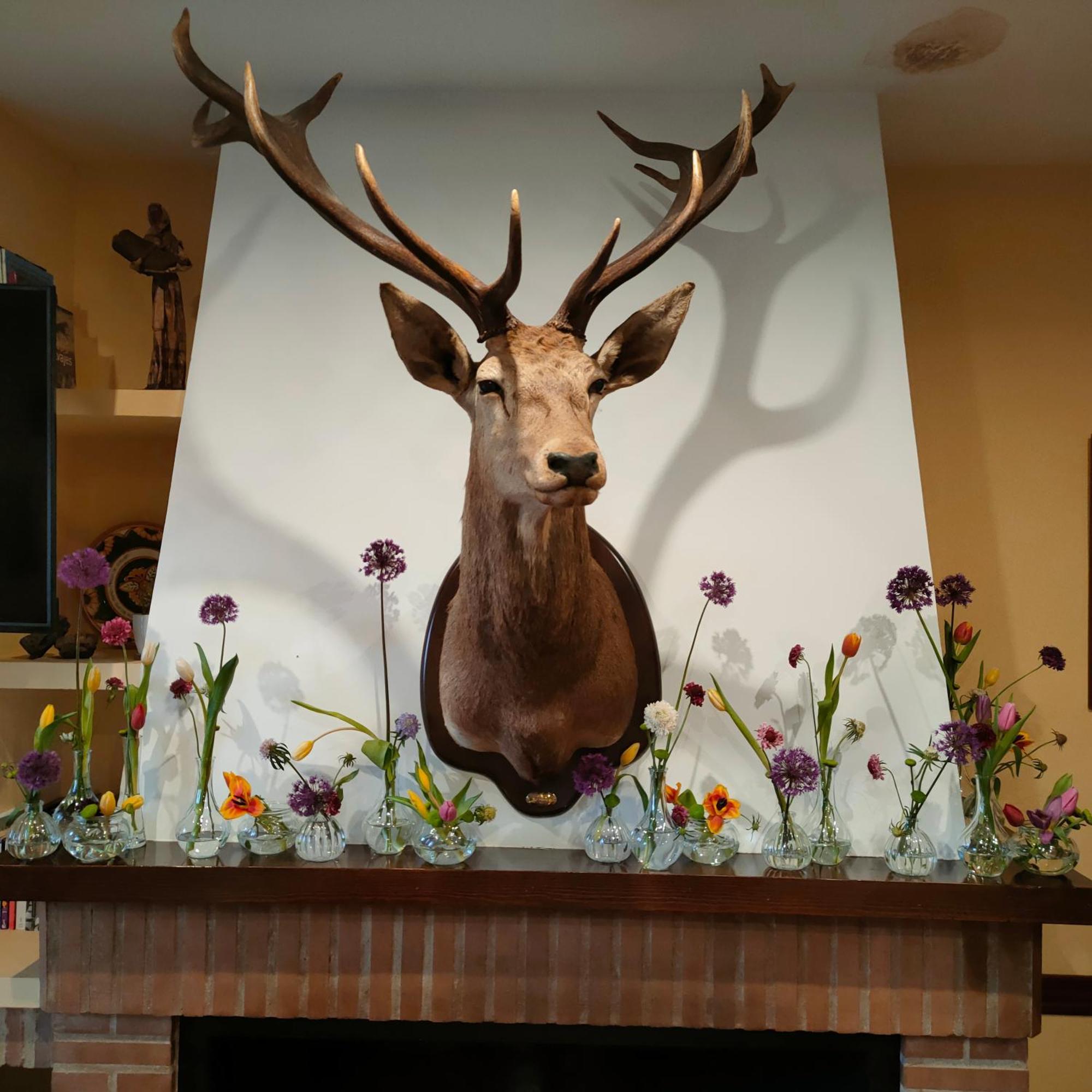 Hotel Rural Carlos Astorga 3*