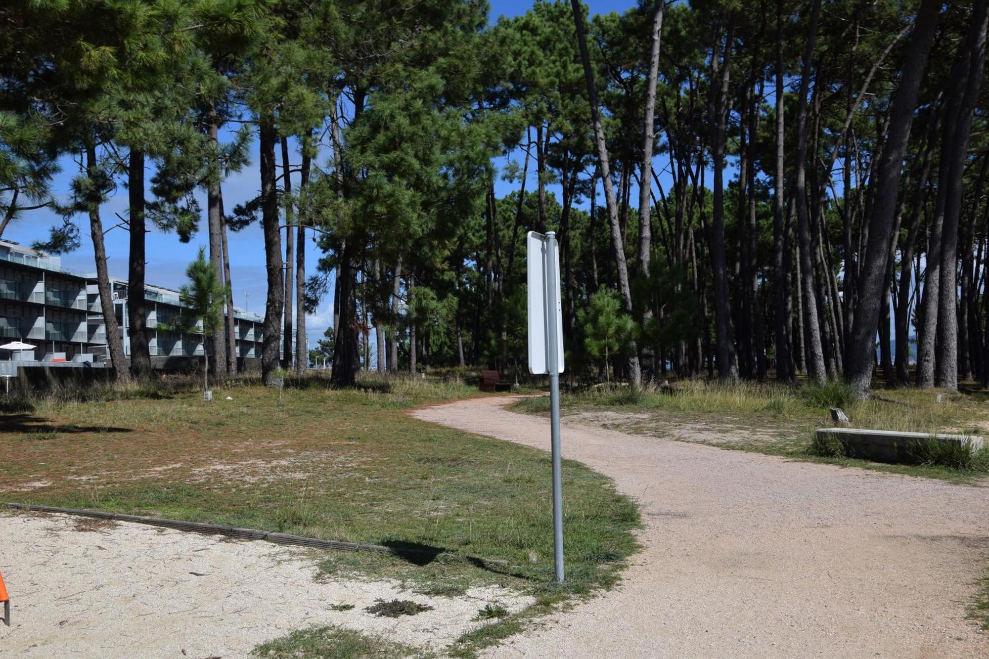 De Mar Y Playa En *