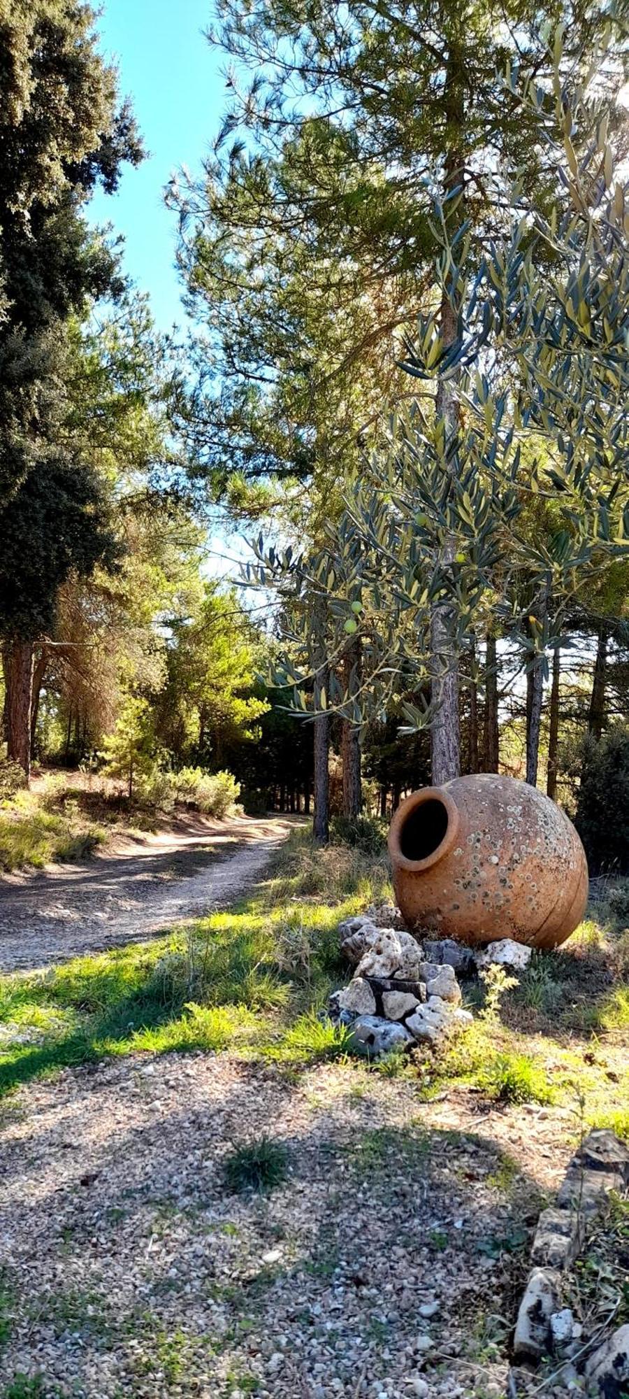 Sanz * Cuenca (Castilla-La Mancha)