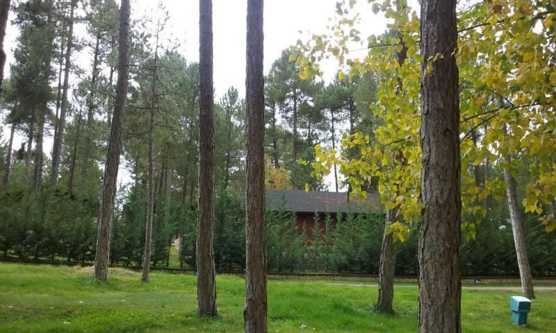 Camping Caravaning Cuenca (Castilla-La Mancha)