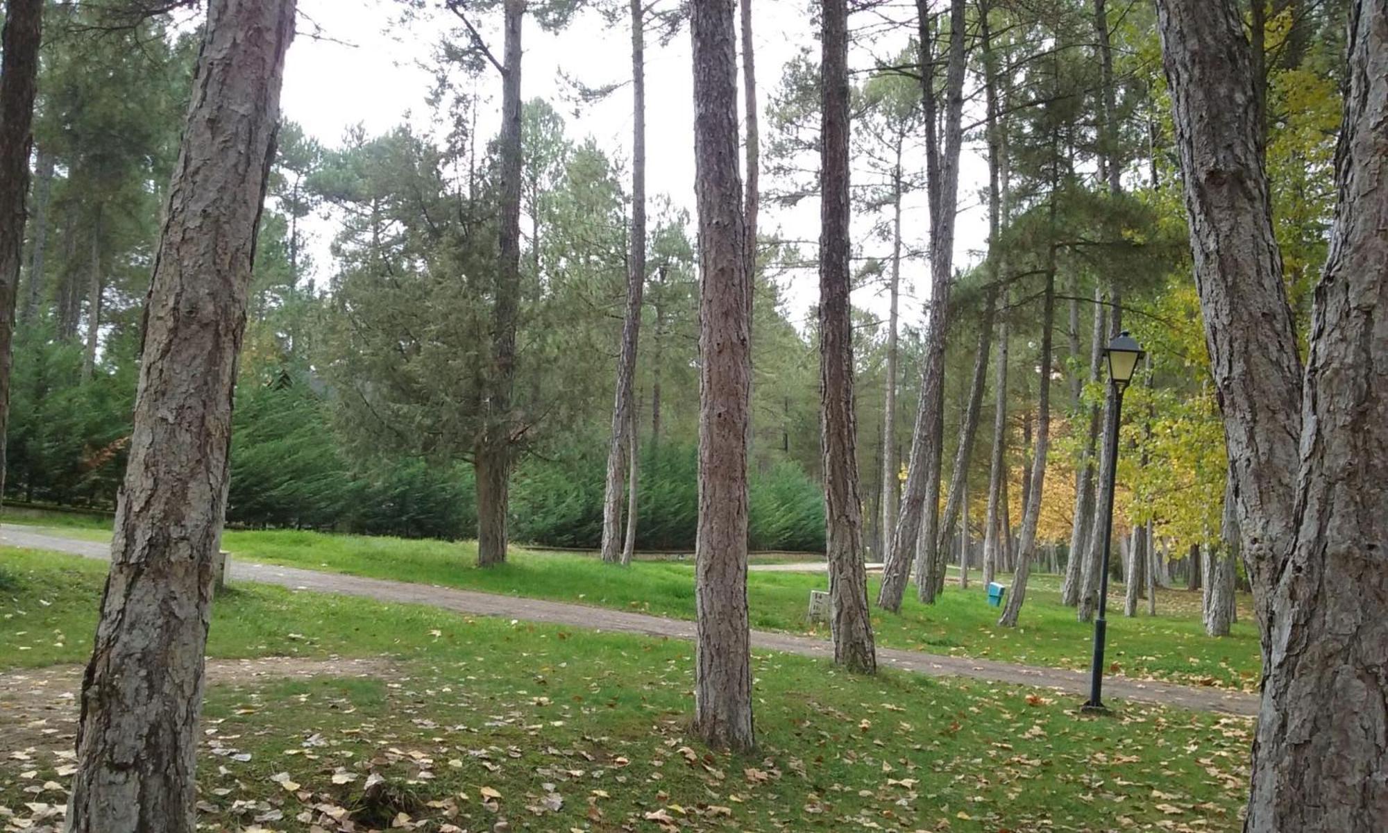 Camping Caravaning Campsite Cuenca (Castilla-La Mancha)