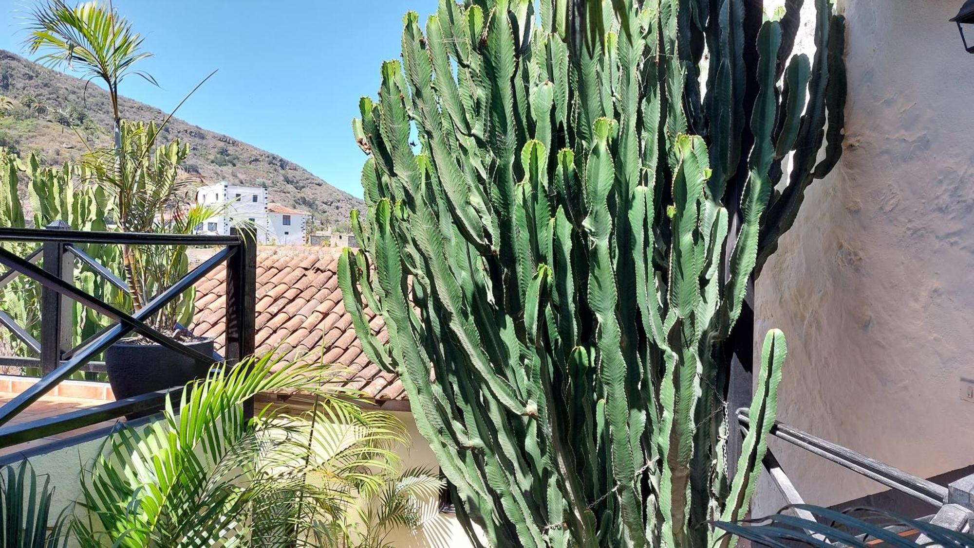 Apartamento Monasterio De San Antonio Icod De Los Vinos