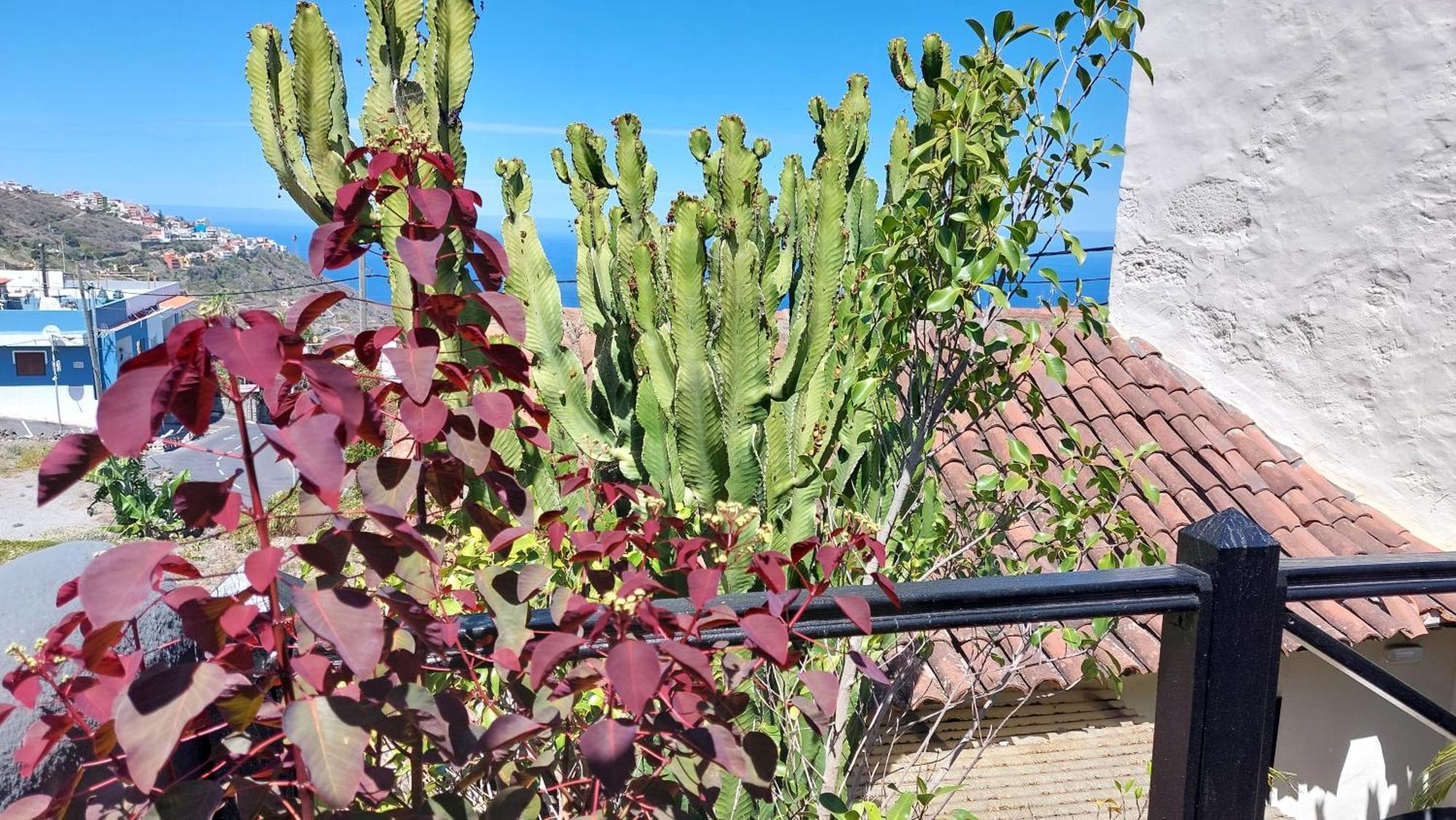 Apartamento Monasterio De San Antonio