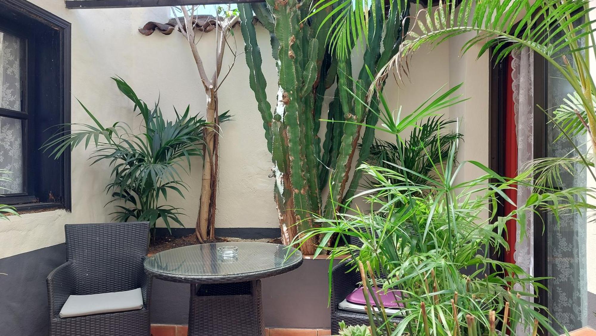 Apartamento Monasterio De San Antonio Icod De Los Vinos