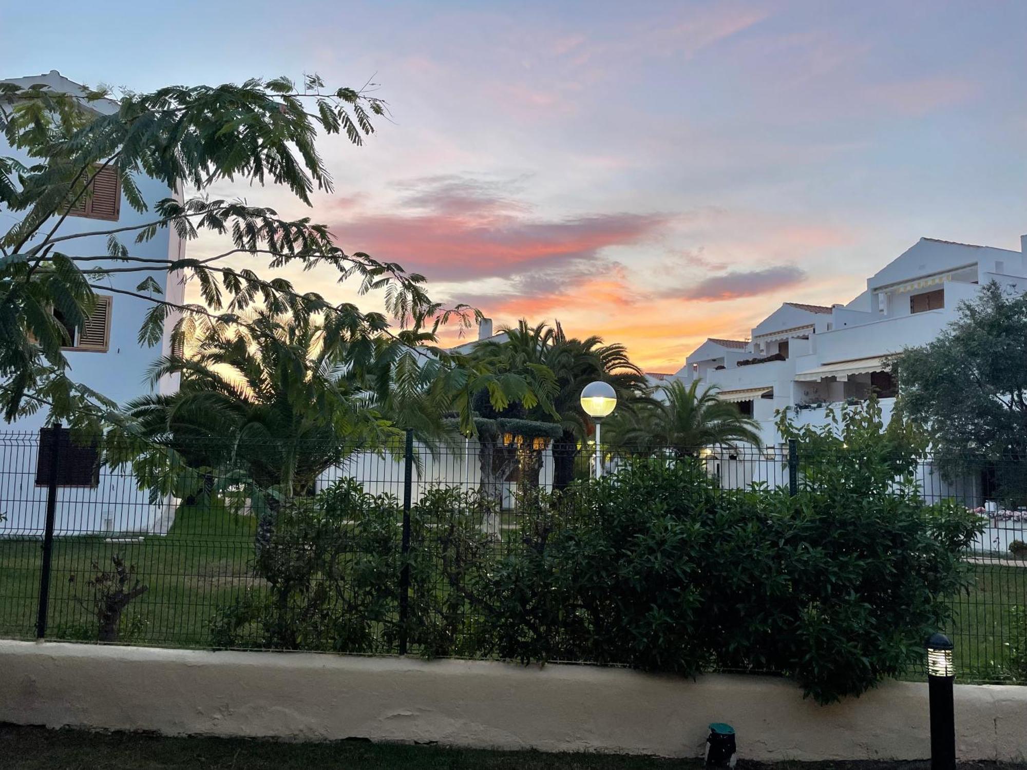 Tulipán Apartamento La Pineda