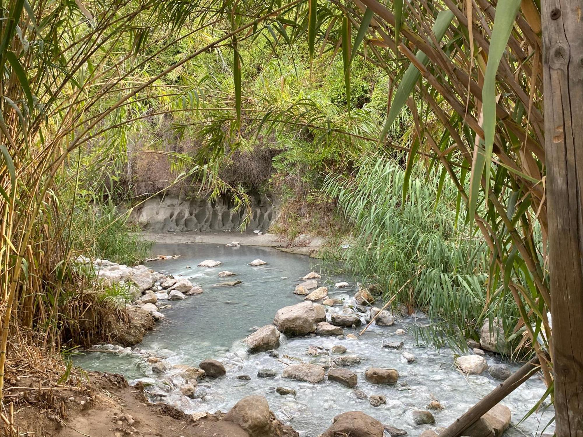 Apartamento Jardines De Casares
