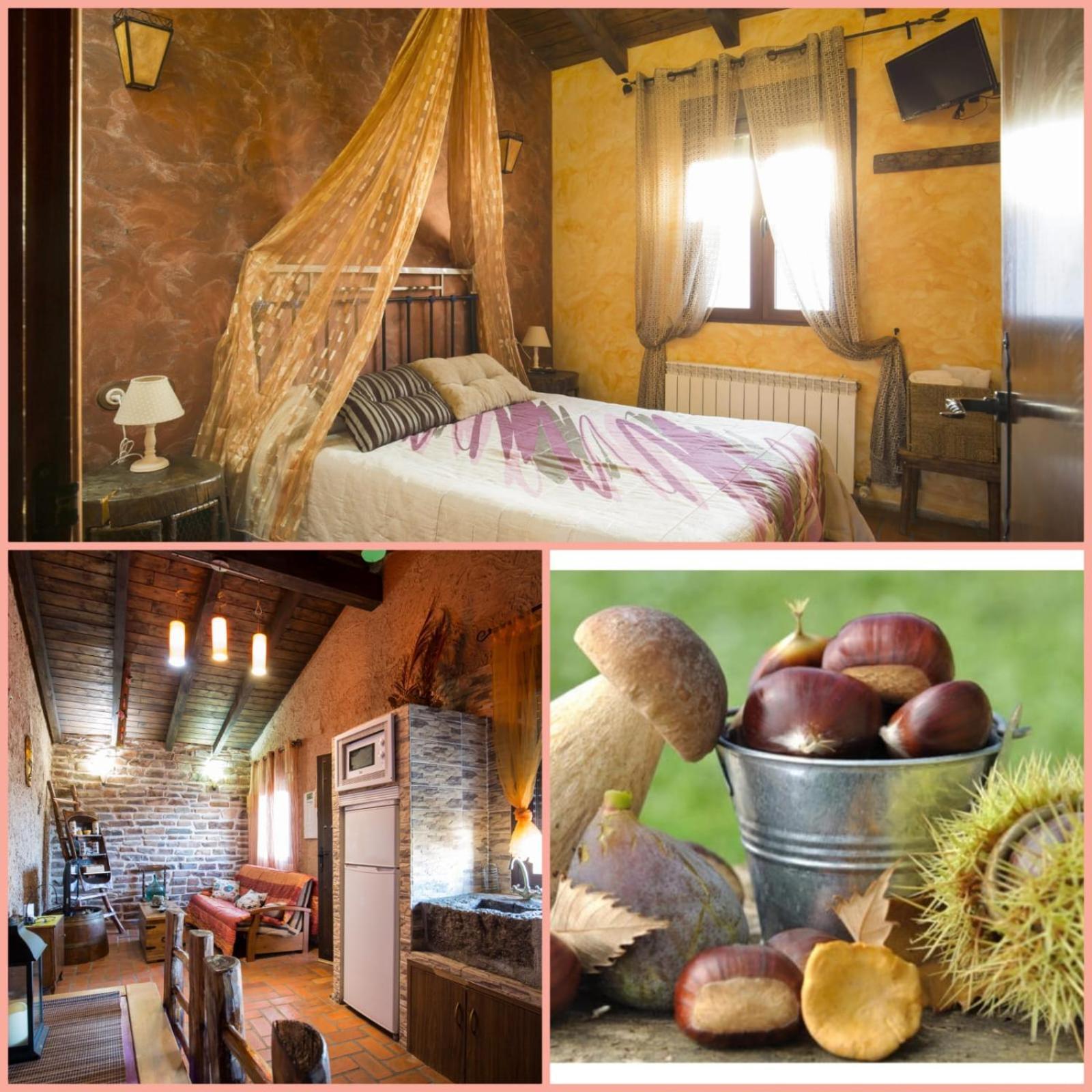 Suenos De Javier Holiday home *