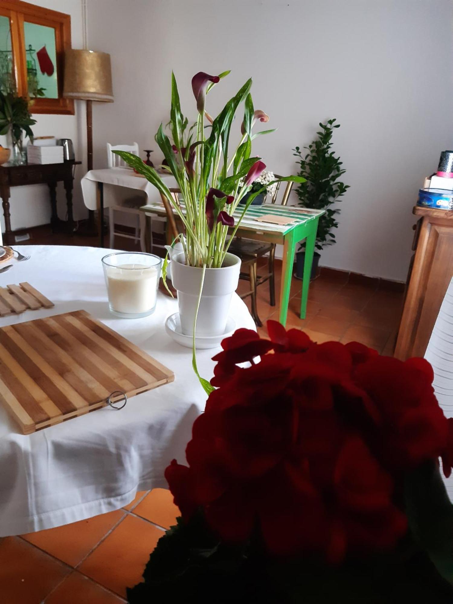 Musas Gastro Casa Rural * Valdealgorfa
