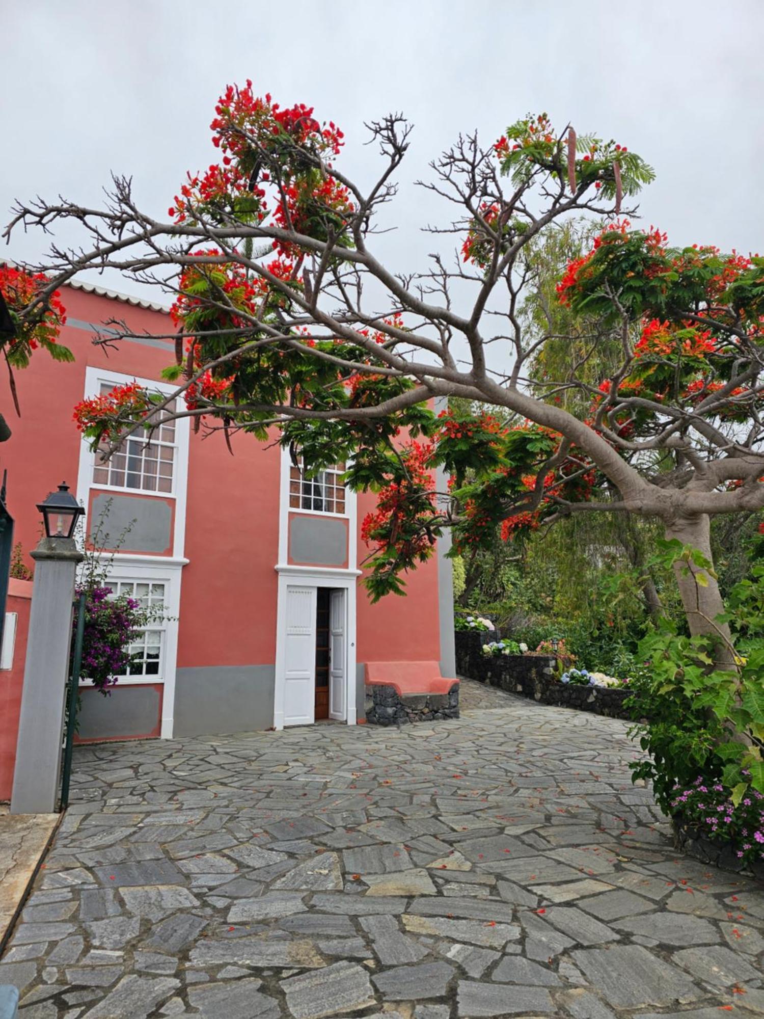 Corral De Payo Grande Country house Brena Baja