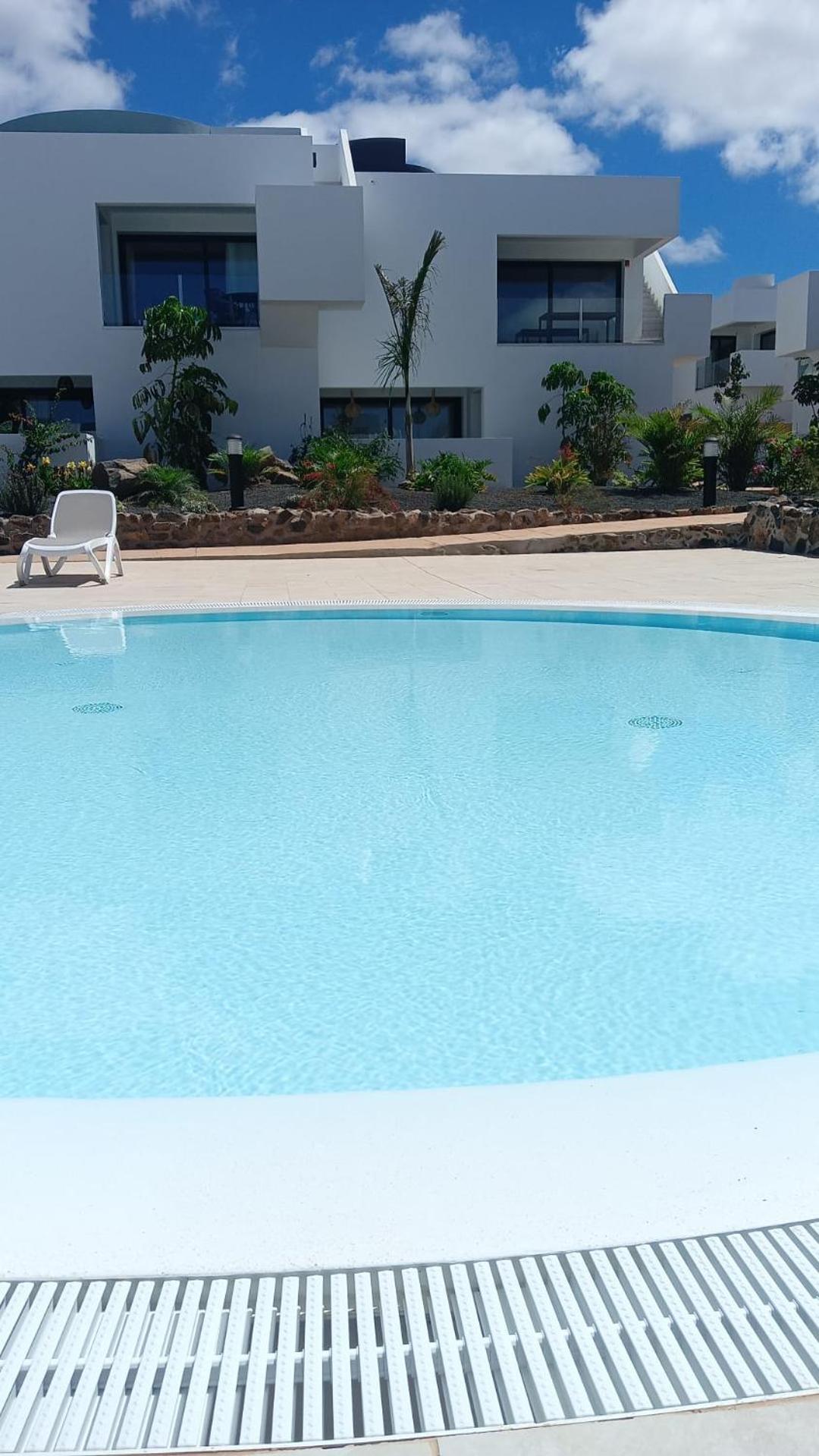 Aulaga Villaverde (Fuerteventura)