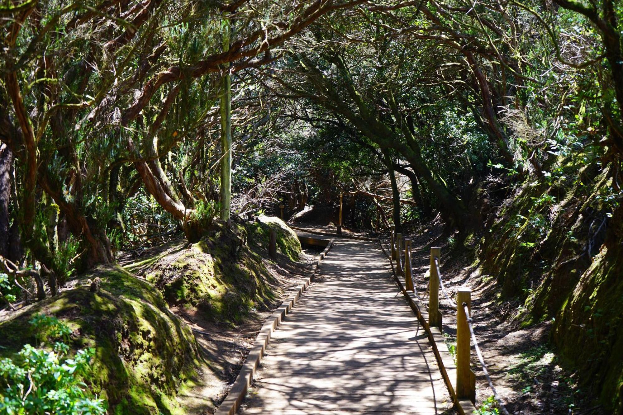 Americas Vinas Arona (Tenerife)
