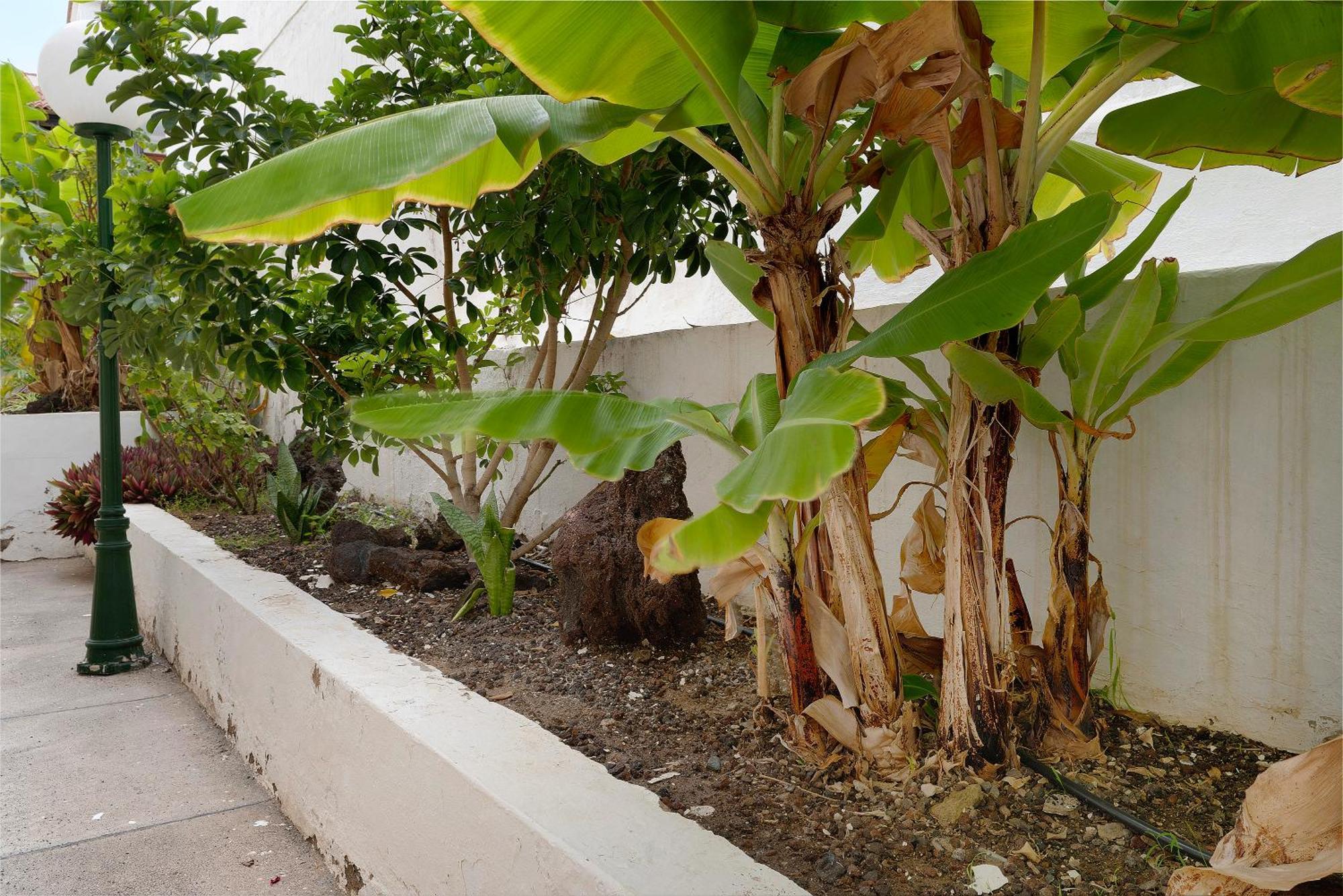 Pippa's House Apartment San Agustin (Gran Canaria)