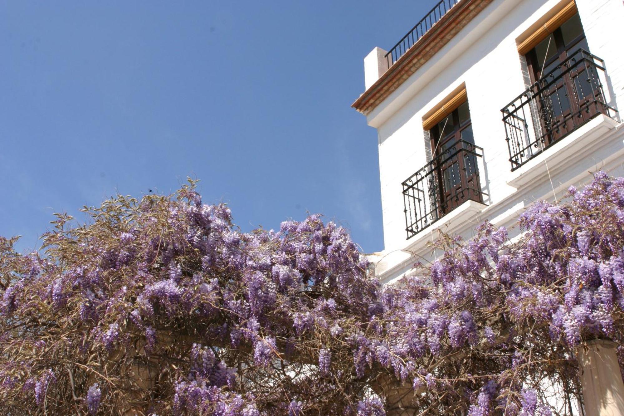 Hotel Carmen De La Alcubilla Del Caracol Granada