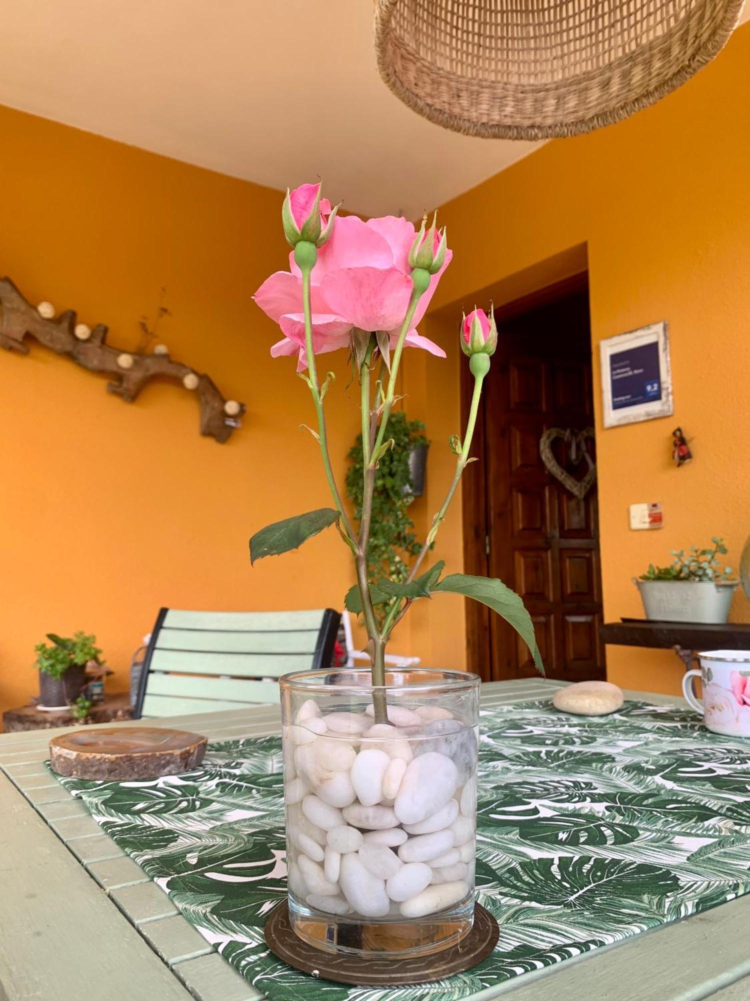 La Penona Carancos 48 En Homestay Nava