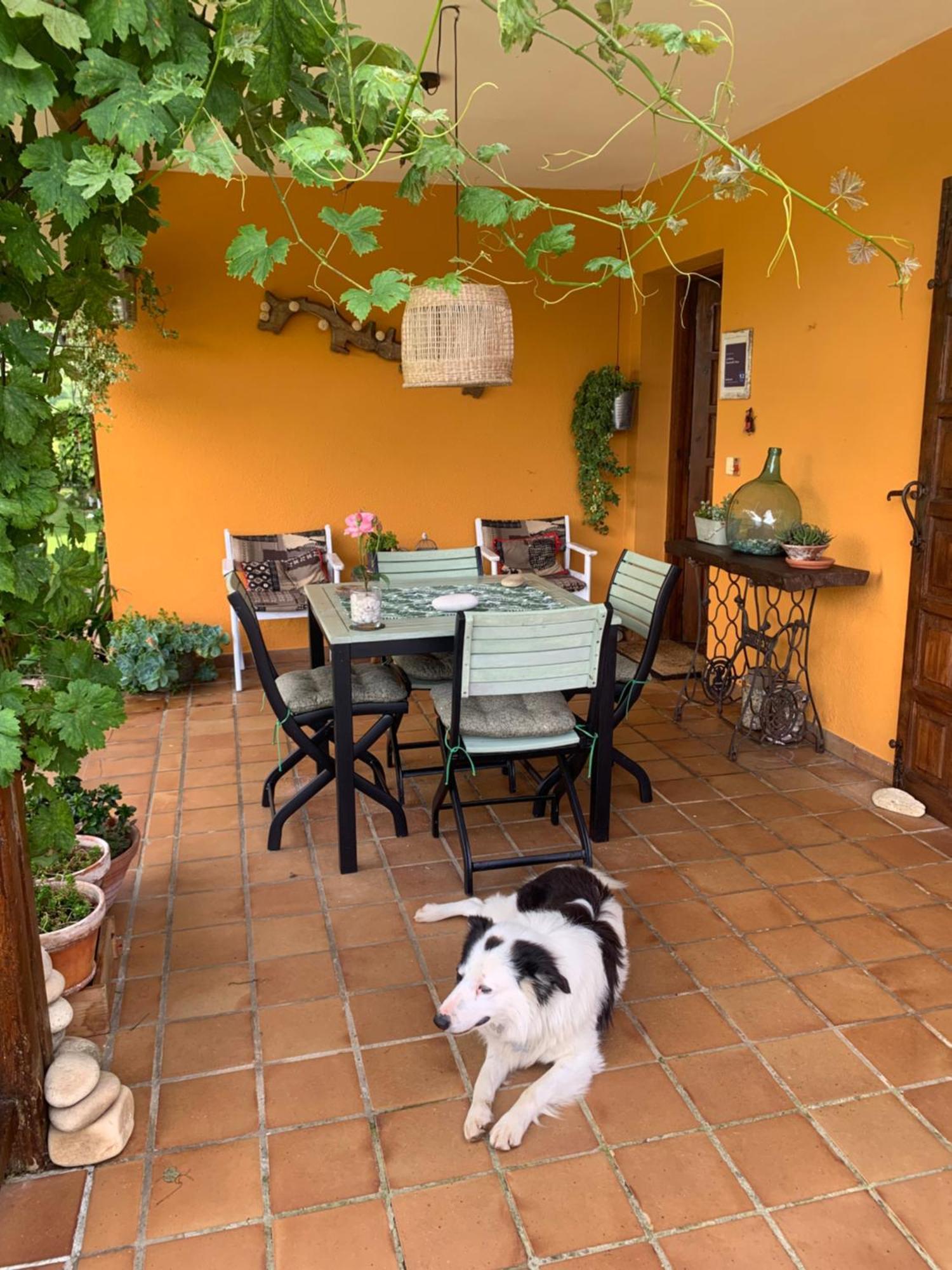 La Penona Carancos 48 En Homestay Nava